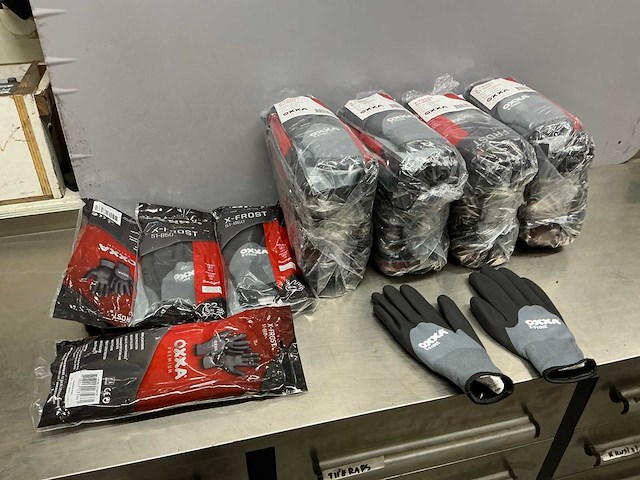 Oxxa x-frost premium werkhandschoen - afbeelding 1 van  8