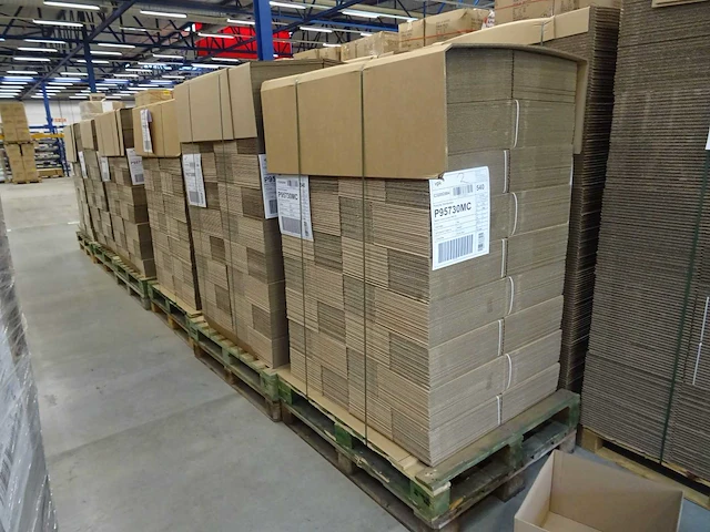 P95730mc - verpakkingsdoos master carton advent (3240x) - afbeelding 3 van  3