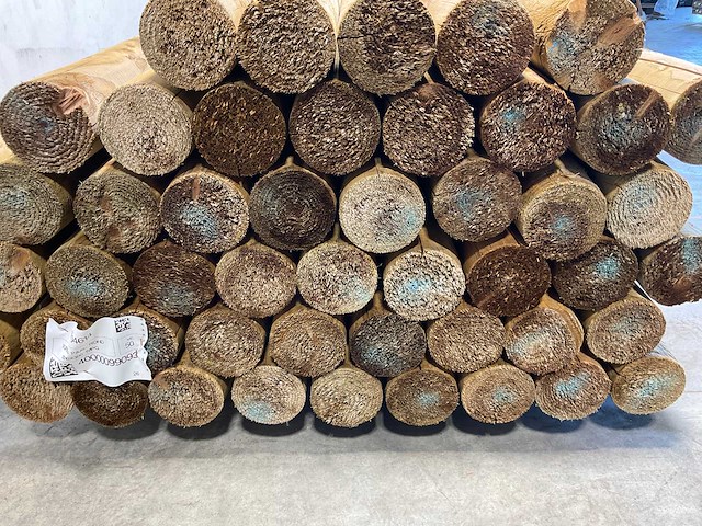 Paal rond gefreesd 1 zijde gekroond ø10x300 cm (50x) - afbeelding 4 van  4