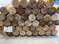 Paal rond gefreesd 1 zijde gekroond ø10x300 cm (50x) - afbeelding 4 van  5