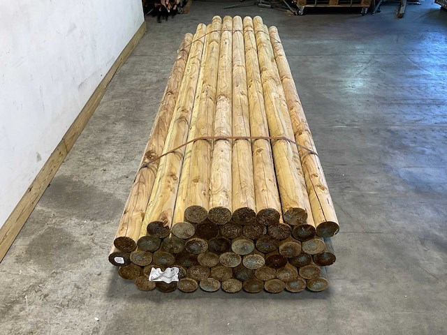 Paal rond gefreesd 1 zijde gekroond ø10x300 cm (50x) - afbeelding 6 van  8