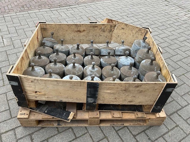 Paalmutsen (60x) - afbeelding 1 van  4
