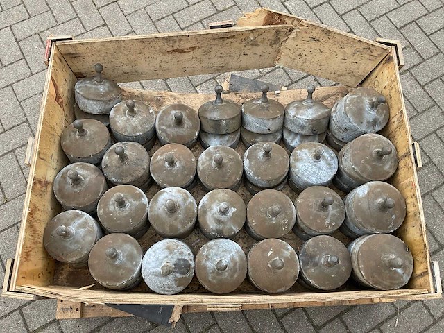 Paalmutsen (60x) - afbeelding 2 van  4