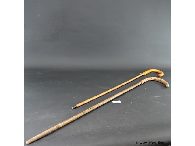 Paar antieke paraplustokken - afbeelding 1 van  5