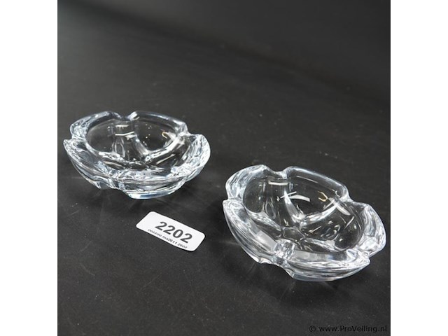 Paar dikglazen schaaltjes - afbeelding 1 van  5