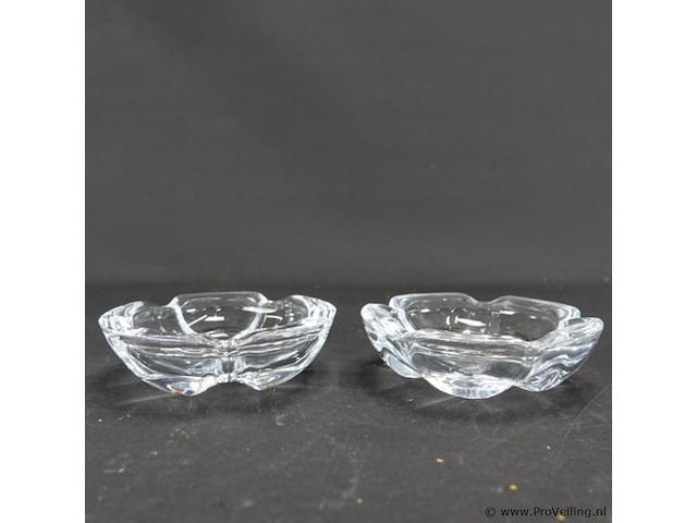 Paar dikglazen schaaltjes - afbeelding 3 van  5