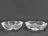 Paar dikglazen schaaltjes - afbeelding 3 van  5