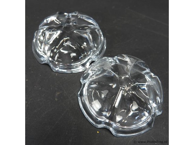 Paar dikglazen schaaltjes - afbeelding 5 van  5