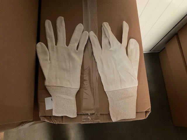 Paar handschoenen (600x) - afbeelding 1 van  3