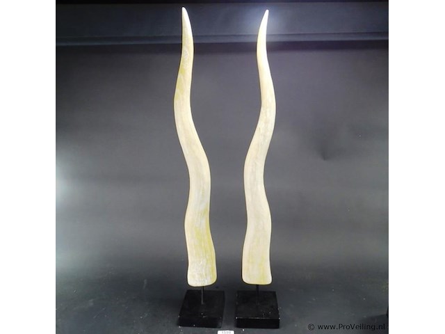 Paar hoge houten hoorns op basement - afbeelding 1 van  5