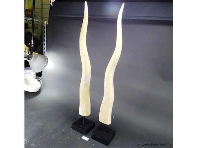 Paar hoge houten hoorns op basement - afbeelding 3 van  5