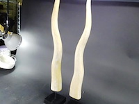 Paar hoge houten hoorns op basement - afbeelding 3 van  5