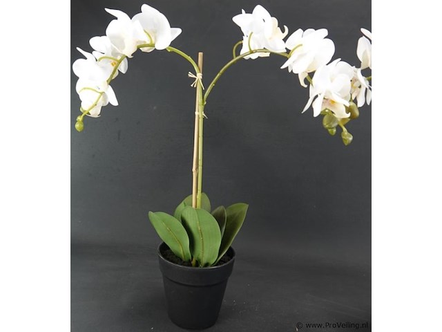 Paar kunst orchideeën - afbeelding 2 van  5