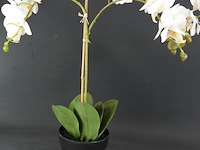 Paar kunst orchideeën - afbeelding 2 van  5