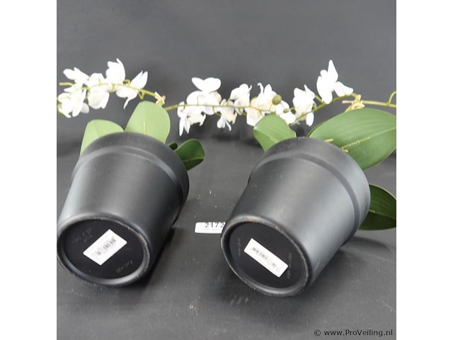 Paar kunst orchideeën - afbeelding 5 van  5