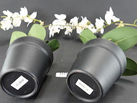 Paar kunst orchideeën - afbeelding 5 van  5