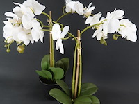 Paar kunst orchideeën - afbeelding 4 van  5