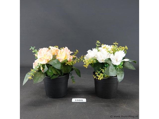 Paar kunstplanten - afbeelding 1 van  5