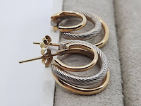 Paar oorstekers - afbeelding 3 van  7