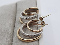 Paar oorstekers - afbeelding 6 van  7