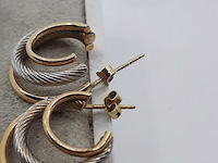 Paar oorstekers - afbeelding 7 van  7