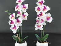 Paar orchideeën in porseleinen pot - afbeelding 1 van  5
