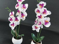 Paar orchideeën in porseleinen pot - afbeelding 3 van  5