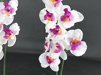 Paar orchideeën in porseleinen pot - afbeelding 4 van  5