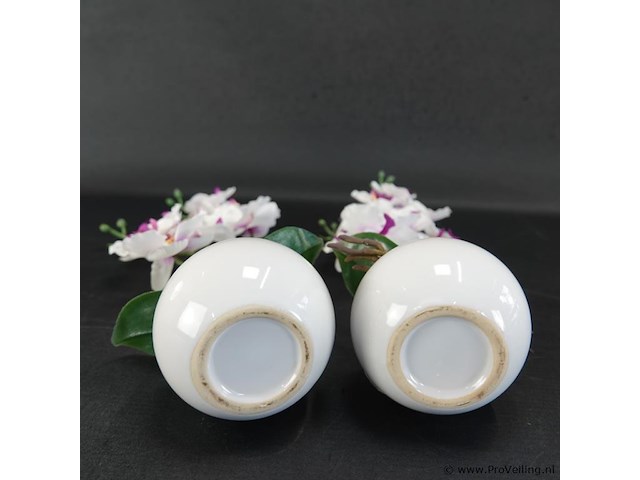 Paar orchideeën in porseleinen pot - afbeelding 5 van  5