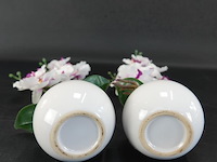 Paar orchideeën in porseleinen pot - afbeelding 5 van  5