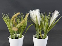 Paar plantjes in keramieken potten - afbeelding 1 van  5