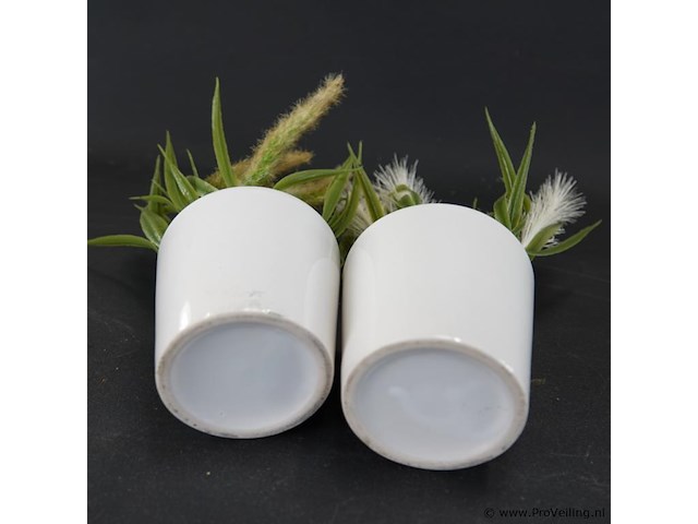 Paar plantjes in keramieken potten - afbeelding 5 van  5