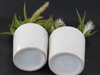 Paar plantjes in keramieken potten - afbeelding 5 van  5