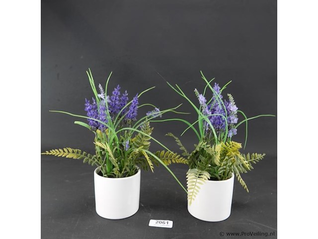 Paar plantjes in keramieken potten - afbeelding 1 van  5