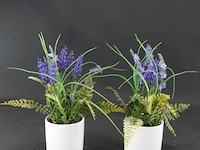 Paar plantjes in keramieken potten - afbeelding 1 van  5