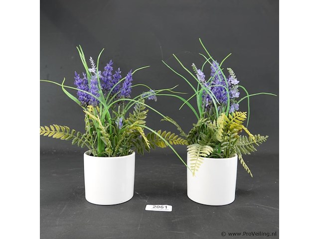 Paar plantjes in keramieken potten - afbeelding 2 van  5