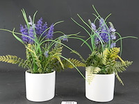 Paar plantjes in keramieken potten - afbeelding 2 van  5