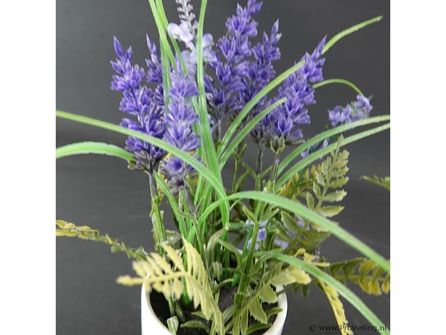 Paar plantjes in keramieken potten - afbeelding 4 van  5