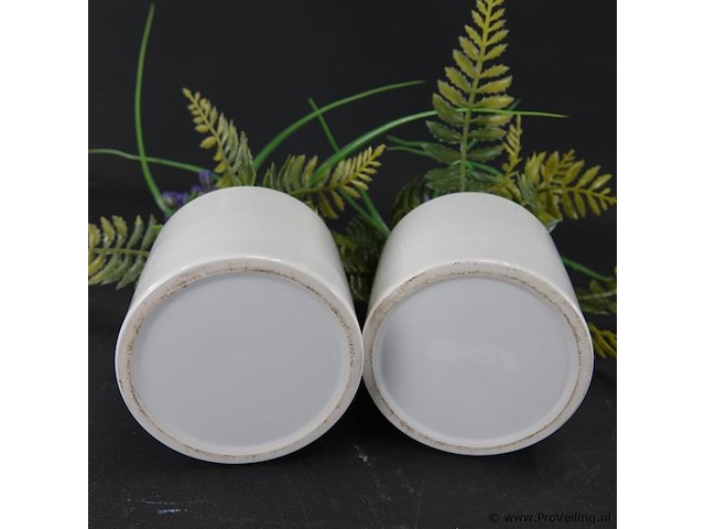 Paar plantjes in keramieken potten - afbeelding 5 van  5