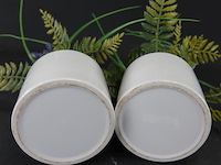 Paar plantjes in keramieken potten - afbeelding 5 van  5