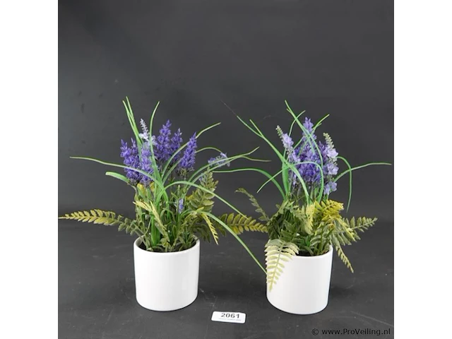 Paar plantjes in keramieken potten - afbeelding 1 van  5