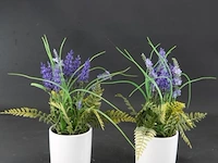 Paar plantjes in keramieken potten