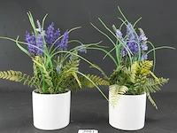 Paar plantjes in keramieken potten - afbeelding 2 van  5