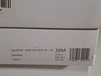 Paar schoenen, calvin klein - afbeelding 9 van  9