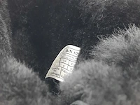 Paar schoenen, maat 37, ugg, 1016501 - afbeelding 7 van  8