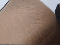 Paar schoenen, maat 45 1/2, louboutin - afbeelding 11 van  12