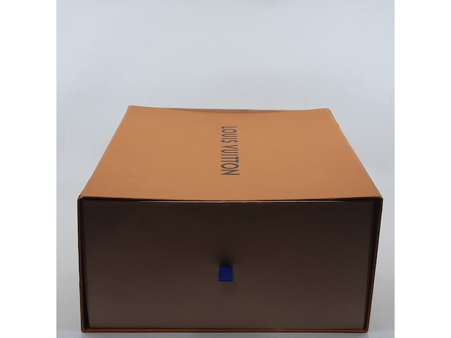 Paar schoenen, maat 7, louis vuitton, ms 0253 - afbeelding 3 van  11