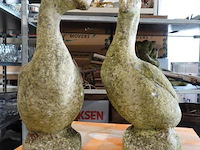Paar stenen ganzen - afbeelding 5 van  5