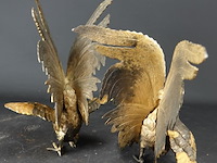 Paar zeer fraaie en grote deels vergulde vechthanen - afbeelding 4 van  5