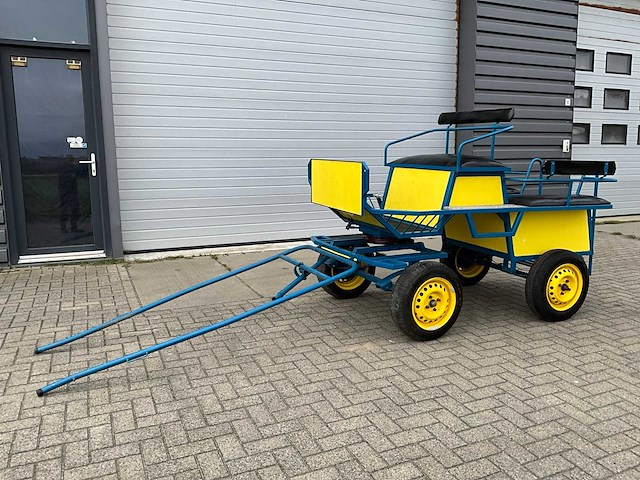 Paarden menwagen - afbeelding 1 van  12